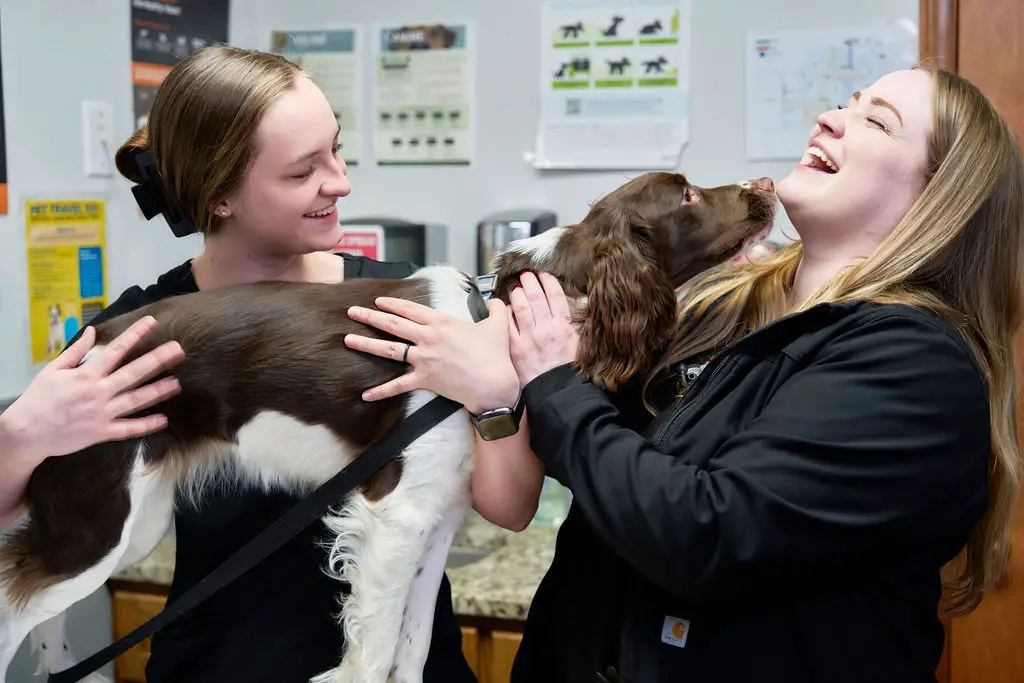 Happy veterinarian and vet tech smiling with dog